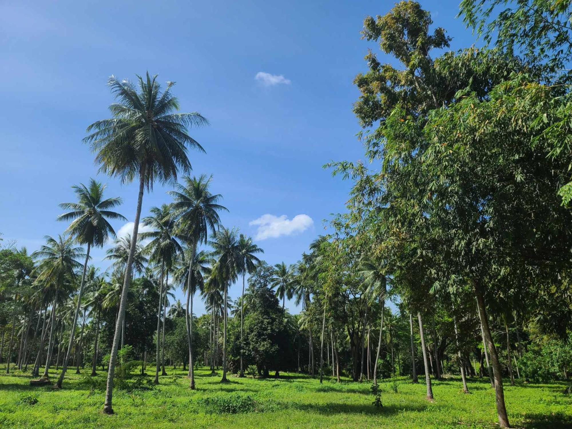The Secret Garden Homestay Koh Yao Yai Ko Yao Yai Luaran gambar