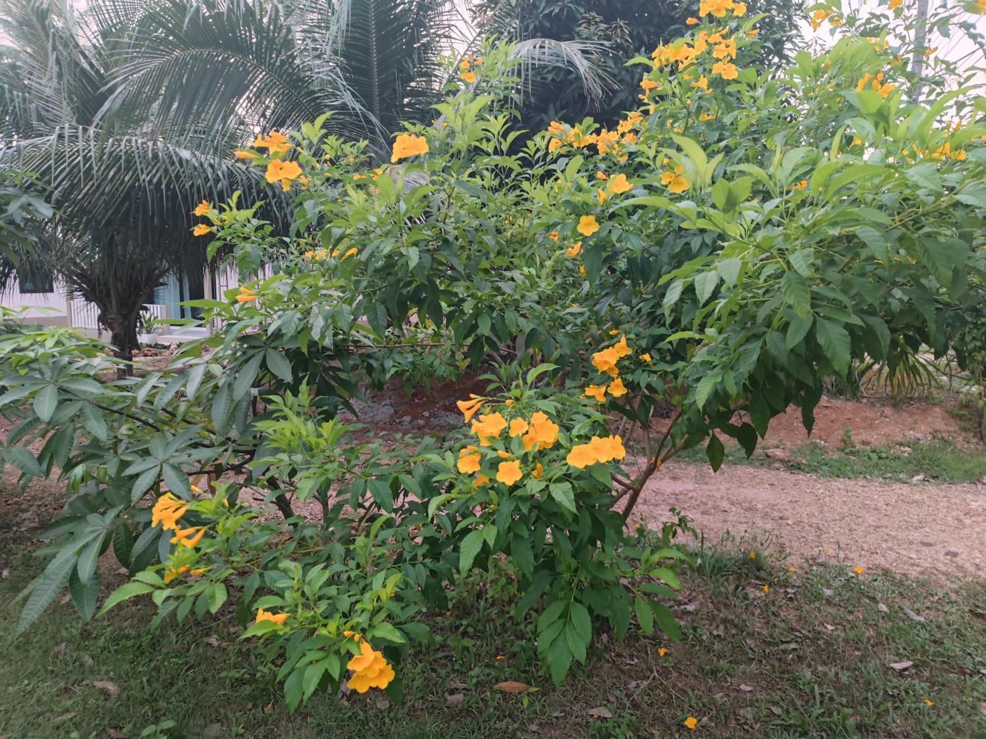 The Secret Garden Homestay Koh Yao Yai Ko Yao Yai Luaran gambar