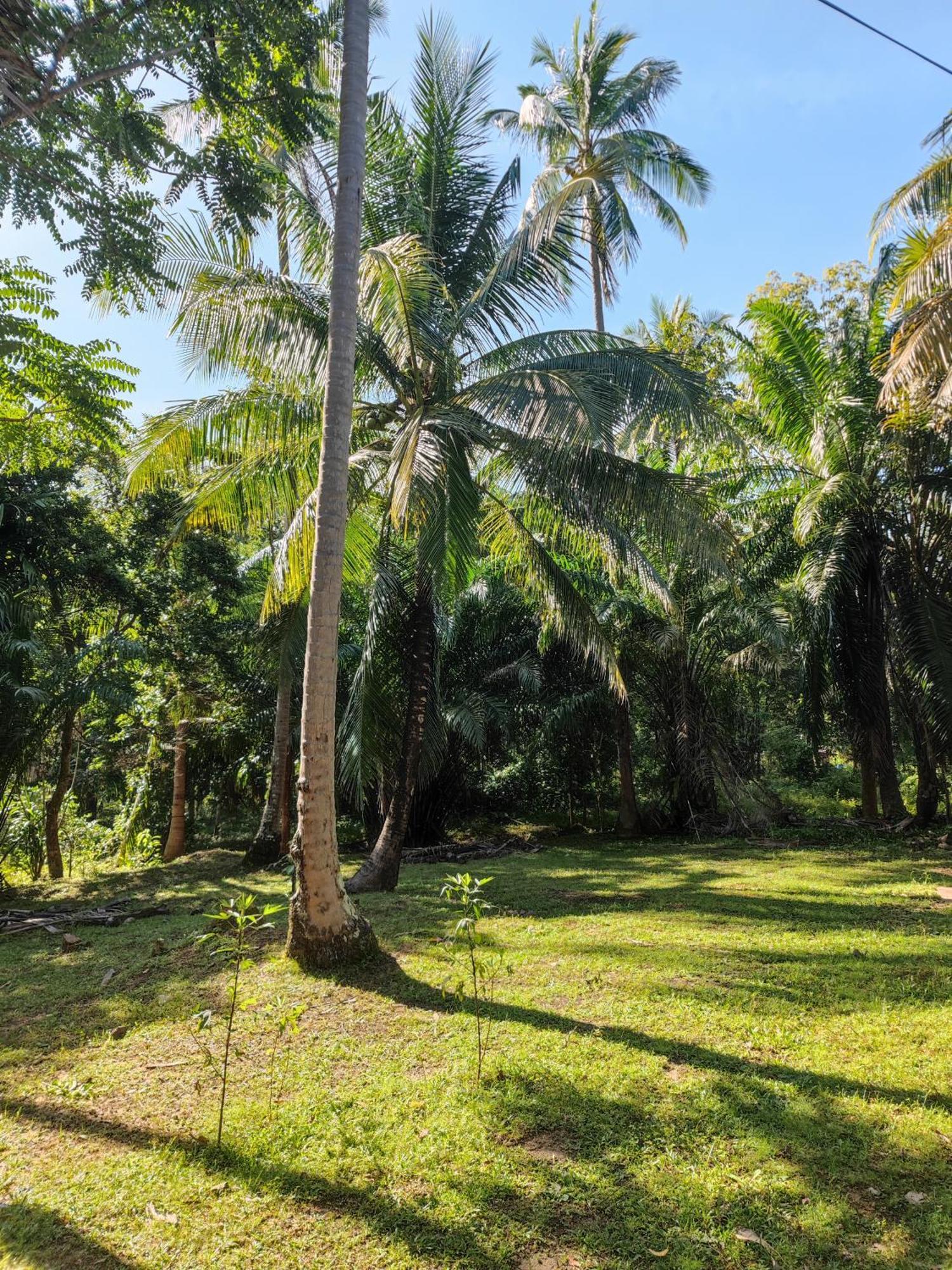 The Secret Garden Homestay Koh Yao Yai Ko Yao Yai Luaran gambar